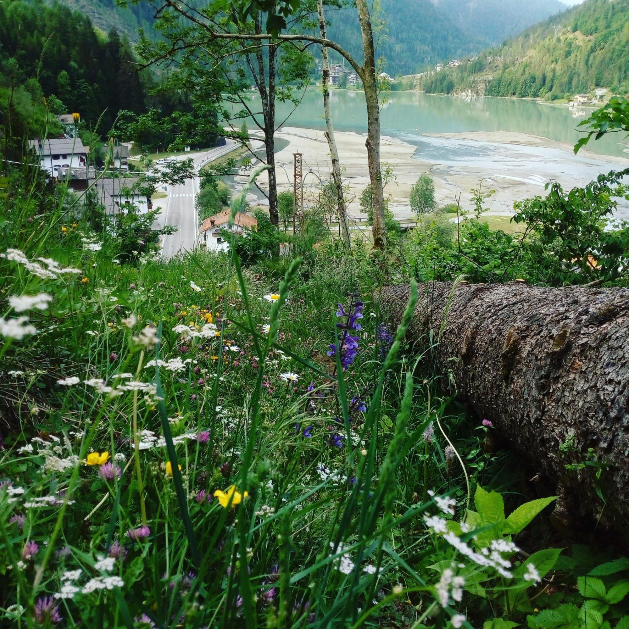 Mountain Daire Alleghe Oda fotoğraf